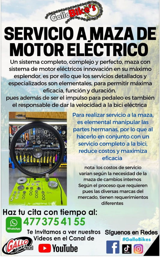 SERVICIO A MAZA DE MOTOR ELÉCTRICO DE BICICLETA