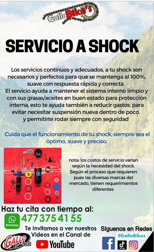 SERVICIO A SHOCK DE BICICLETA