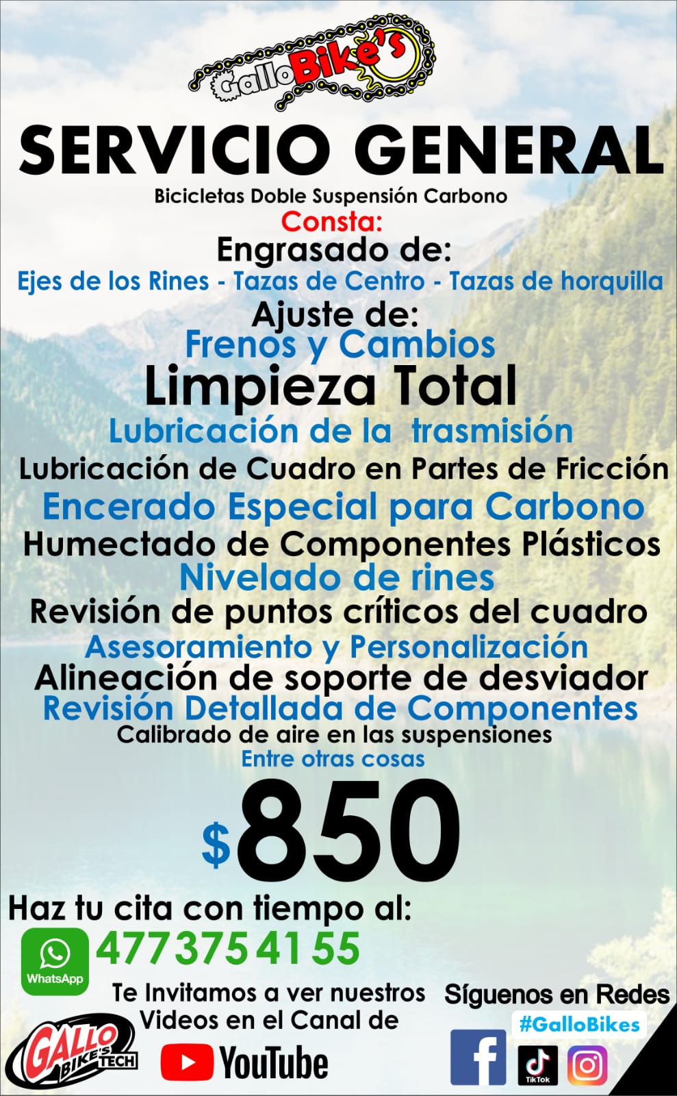 SERVICIO COMPLETO PARA BICIS DE DOBLE SUSPENSIÓN DE CARBONO