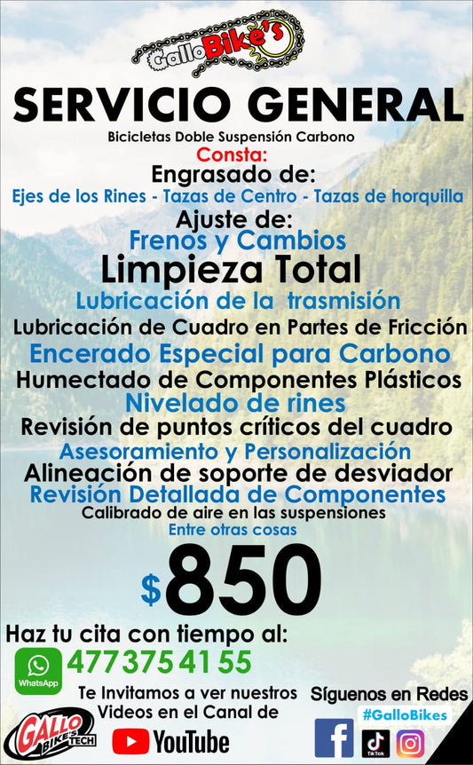 SERVICIO COMPLETO PARA BICIS DE DOBLE SUSPENSIÓN DE CARBONO