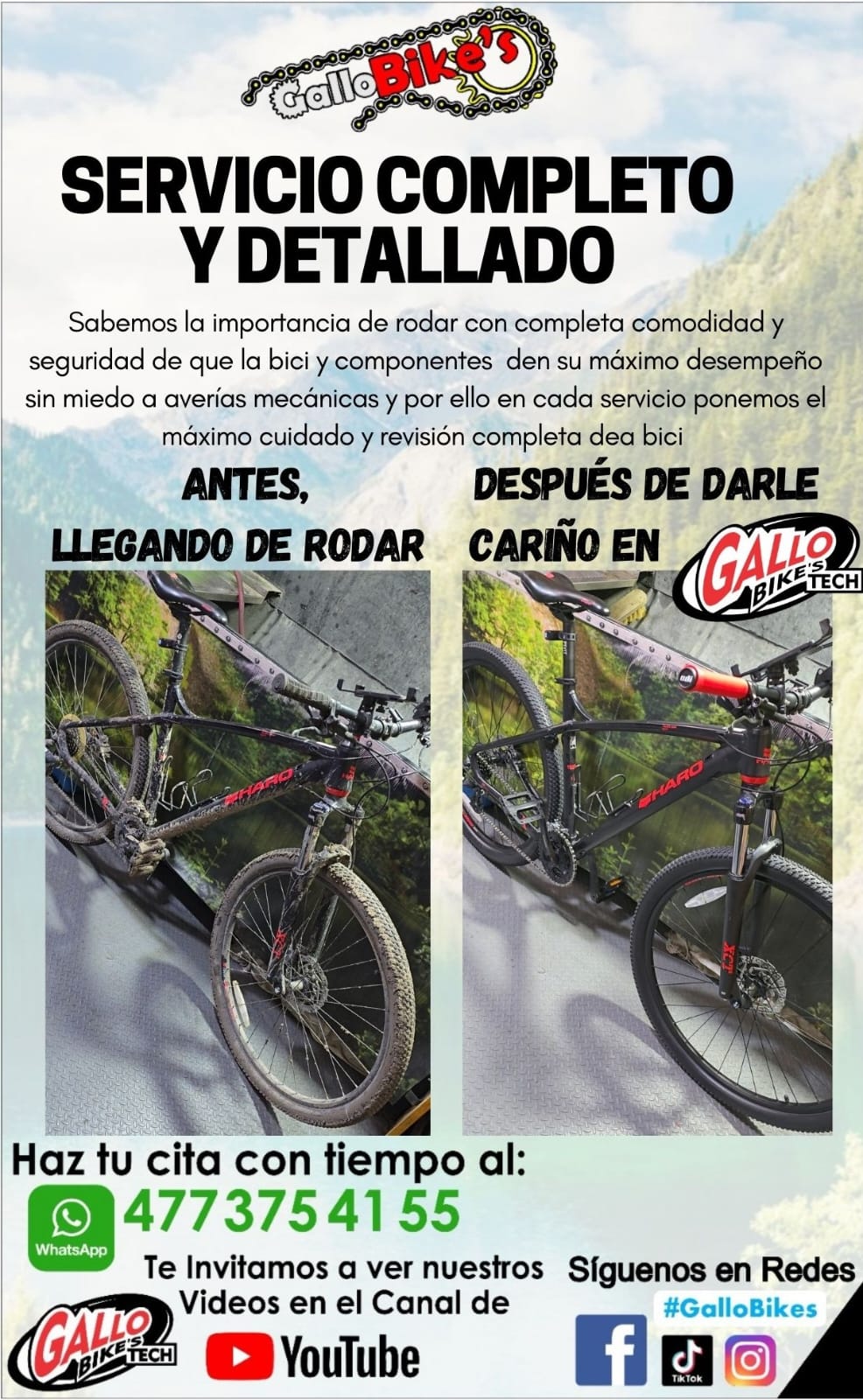 SERVICIO COMPLETO Y DETALLADO A BICICLETAS