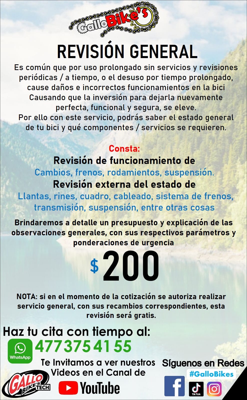 REVISIÓN GENERAL DE BICIS