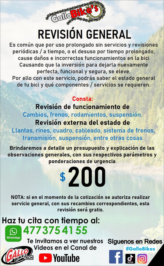 REVISIÓN GENERAL DE BICIS