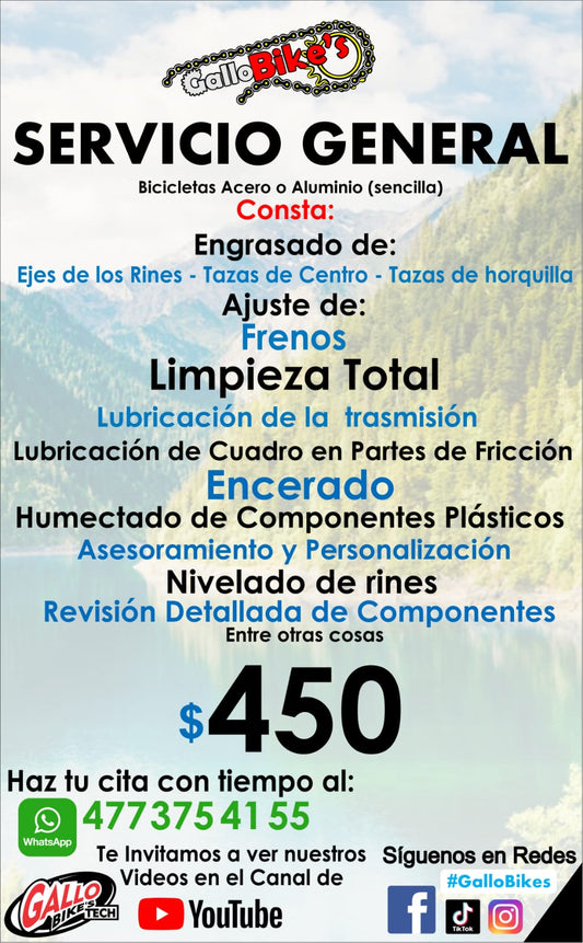 SERVICIO COMPLETO PARA BICICLETAS sin cambios