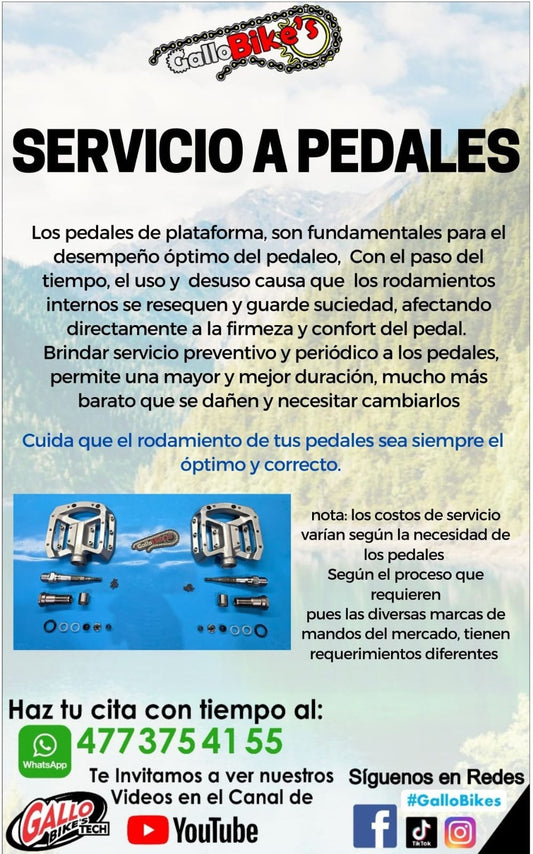SERVICIO A PEDALES DE PLATAFORMA
