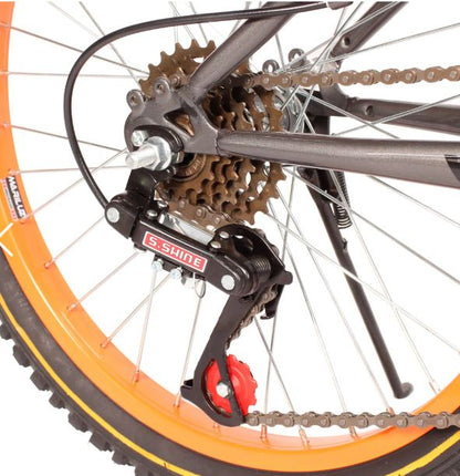 Bicicleta R 20 doble suspension gris 3x6  velocidades Ryno