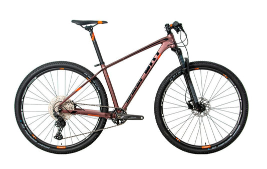 Bicicleta BELFORT ALOM JUDY r29