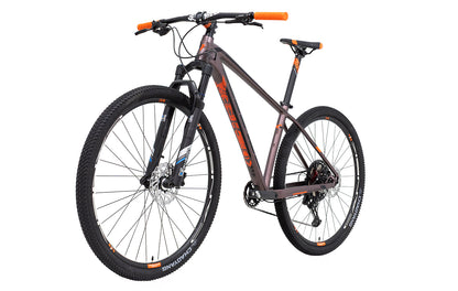 Bicicleta BELFORT ALOM SL B2 r-29
