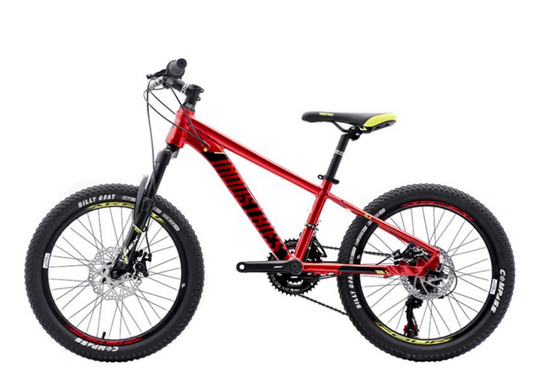 Bicicleta industries 200 SL B1 r20 kids