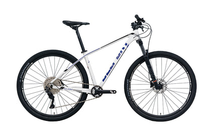 Bici BELFORT ALOM AERIAL R29