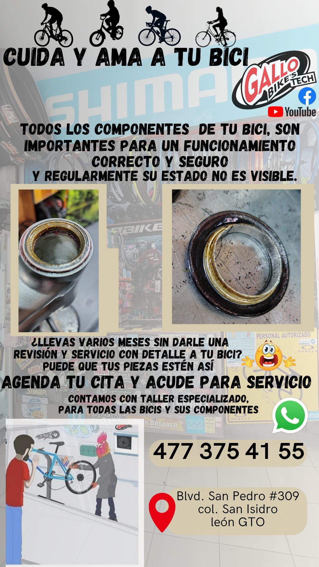 ¿CÓMO CUIDO MI BICI?   DALE MANTENIMIENTO, SERVICIO Y CUIDADO CONAS MANOS EXPERTAS, QUE TODAS LAS BICIS LAS DEJAN 💯 Gallo Bikes's tech
