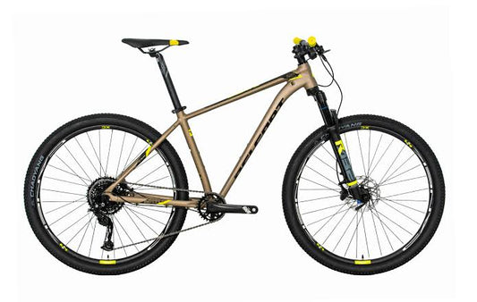 Bicicleta BELFORT COATL RABE r-29