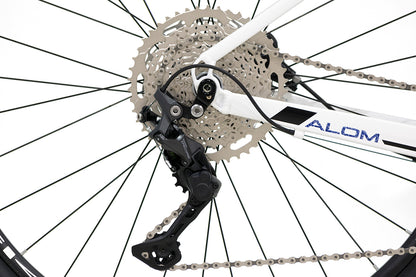 Bici BELFORT ALOM AERIAL R29