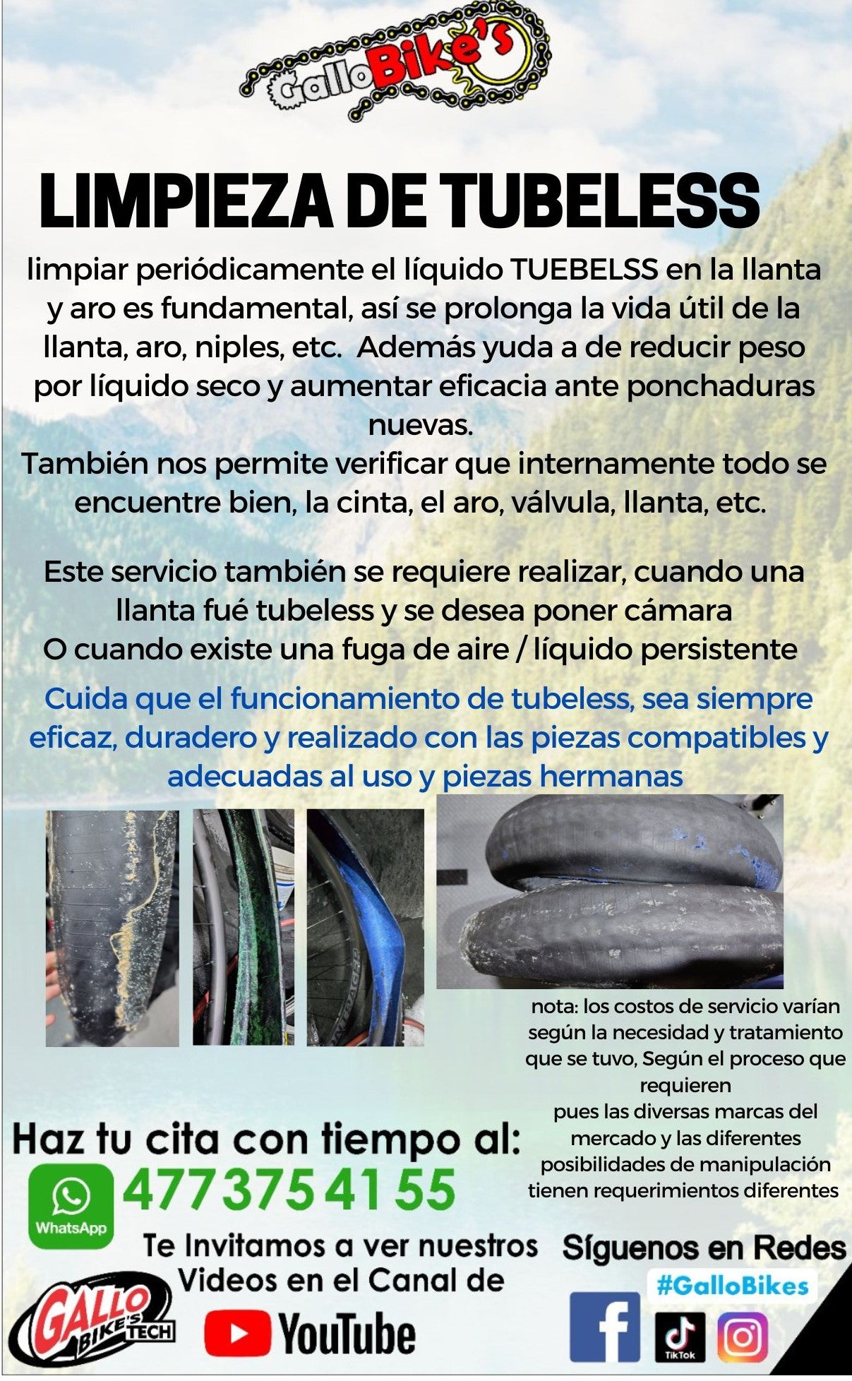 LIMPIEZA DE TUBELESS PARA LLANTAS DE BICICLETA