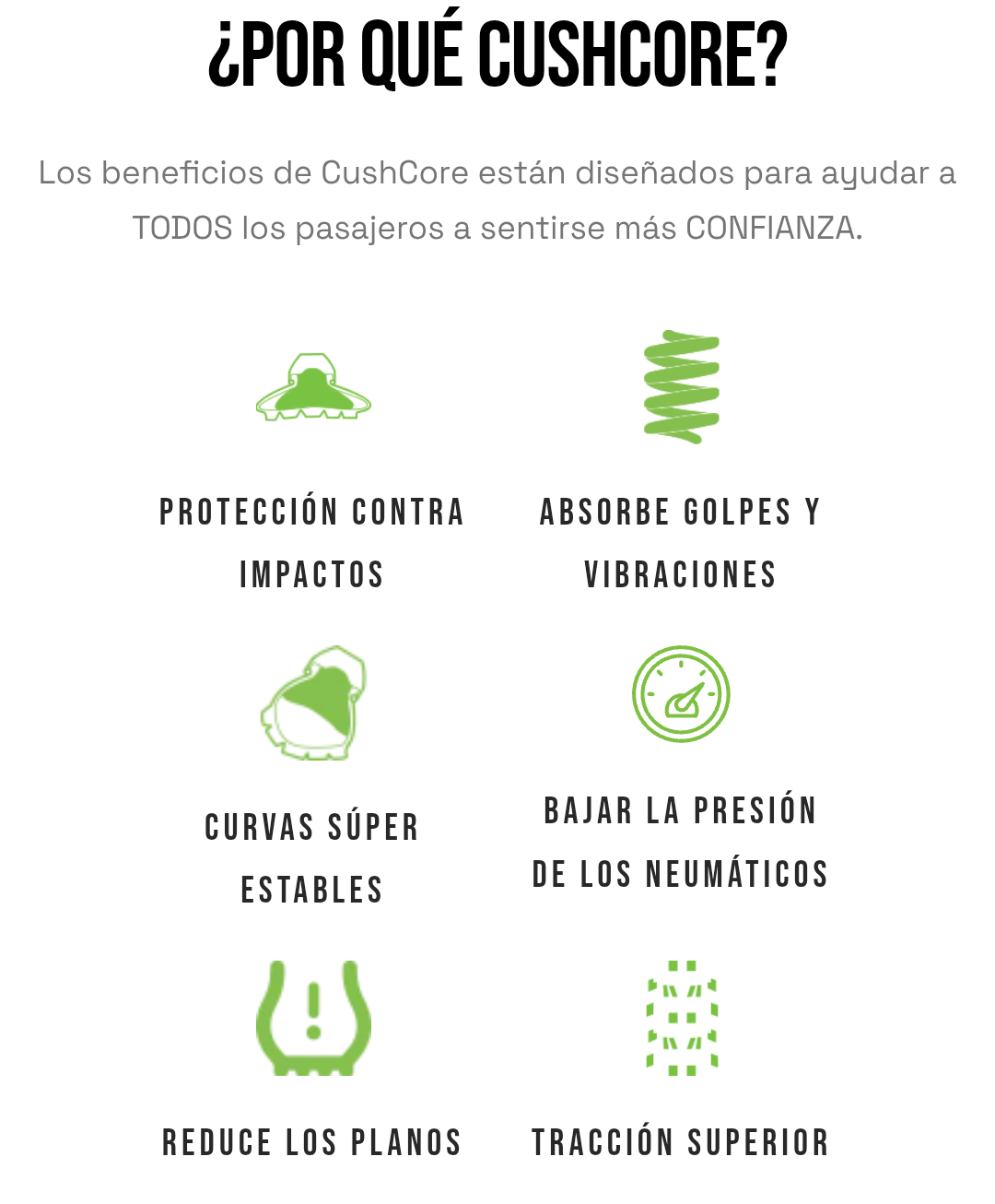 CushCore protector de rin E-MTB 29