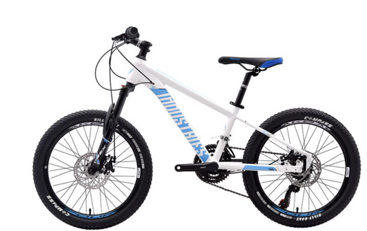 Bicicleta industries 200 SL B1 r20 kids