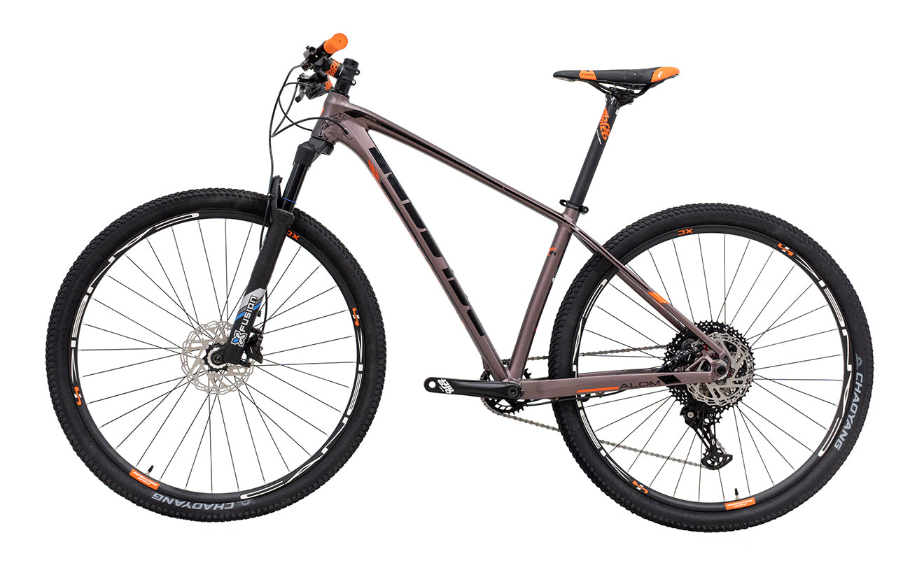 Bicicleta BELFORT ALOM SL B2 r-29