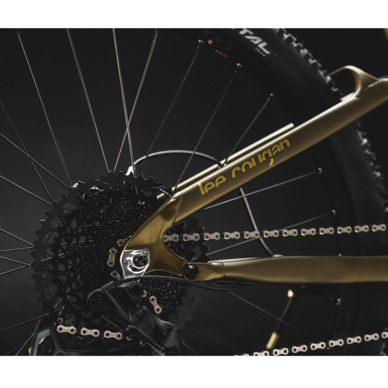 Bicicleta lee Cougan quest enduro gold