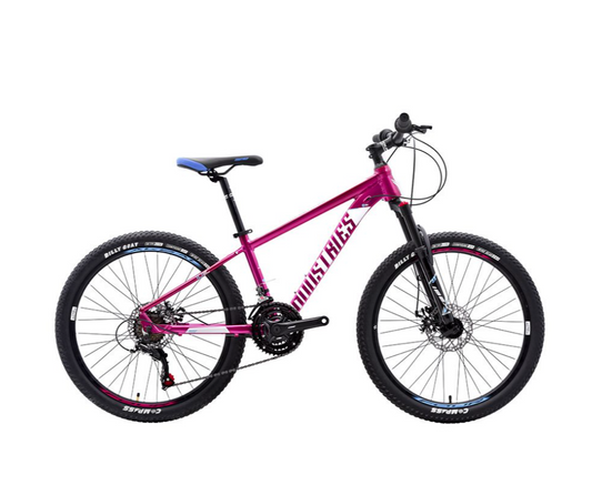 Bicicleta industries 400 SL B1 r24 kids