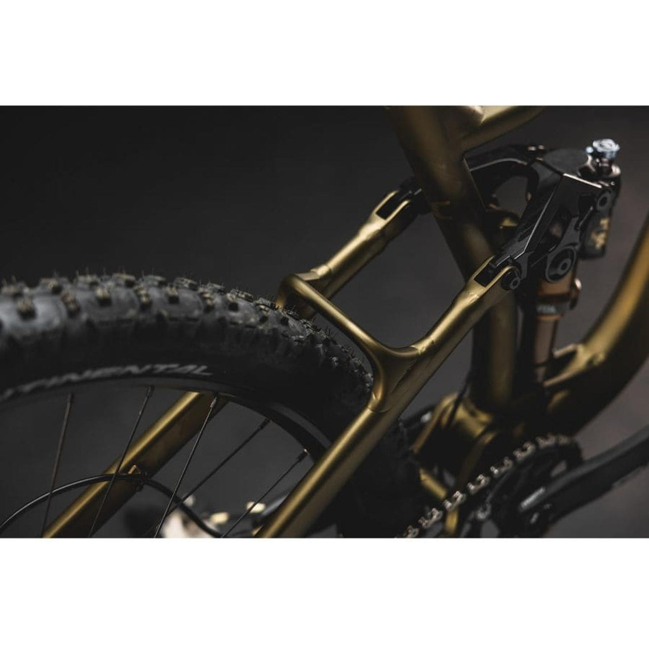 Bicicleta lee Cougan quest enduro gold