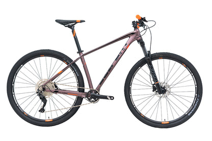 Bici BELFORT ALOM AERIAL R29