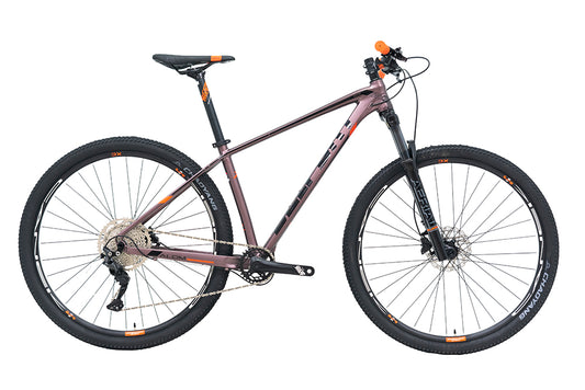 Bici BELFORT ALOM AERIAL R29