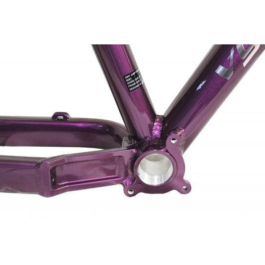 Cuadro vg Xicnal R26 Dirt / stunt  morado