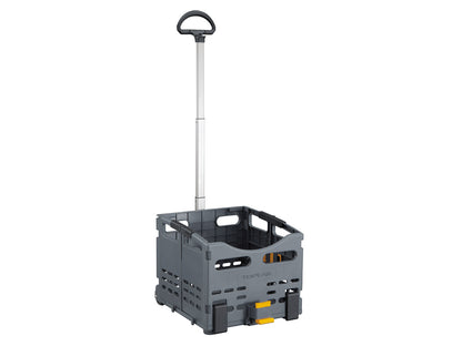 TOPEAK Canastilla con montura a parilla