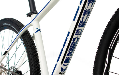 Bicicleta BELFORT ALOM JUDY r29