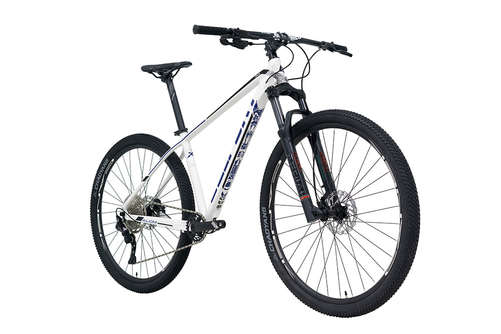 Bici BELFORT ALOM AERIAL R29