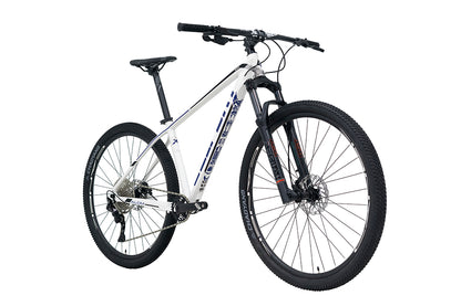 Bici BELFORT ALOM AERIAL R29