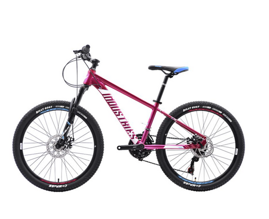Bicicleta industries 400 SL B1 r24 kids