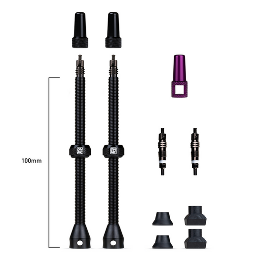 Válvulas tubeless DYNAMIC 100mm