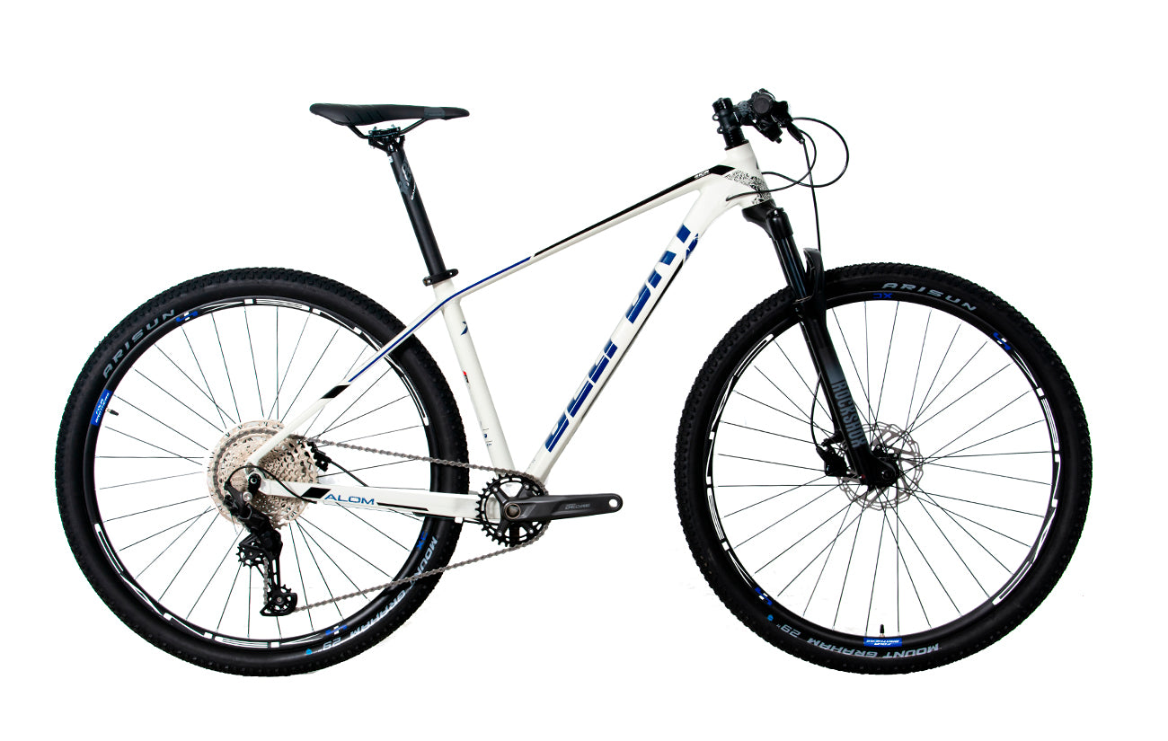 Bicicleta BELFORT ALOM JUDY r29