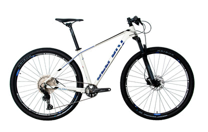 Bicicleta BELFORT ALOM JUDY r29