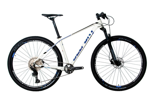Bicicleta BELFORT ALOM JUDY r29
