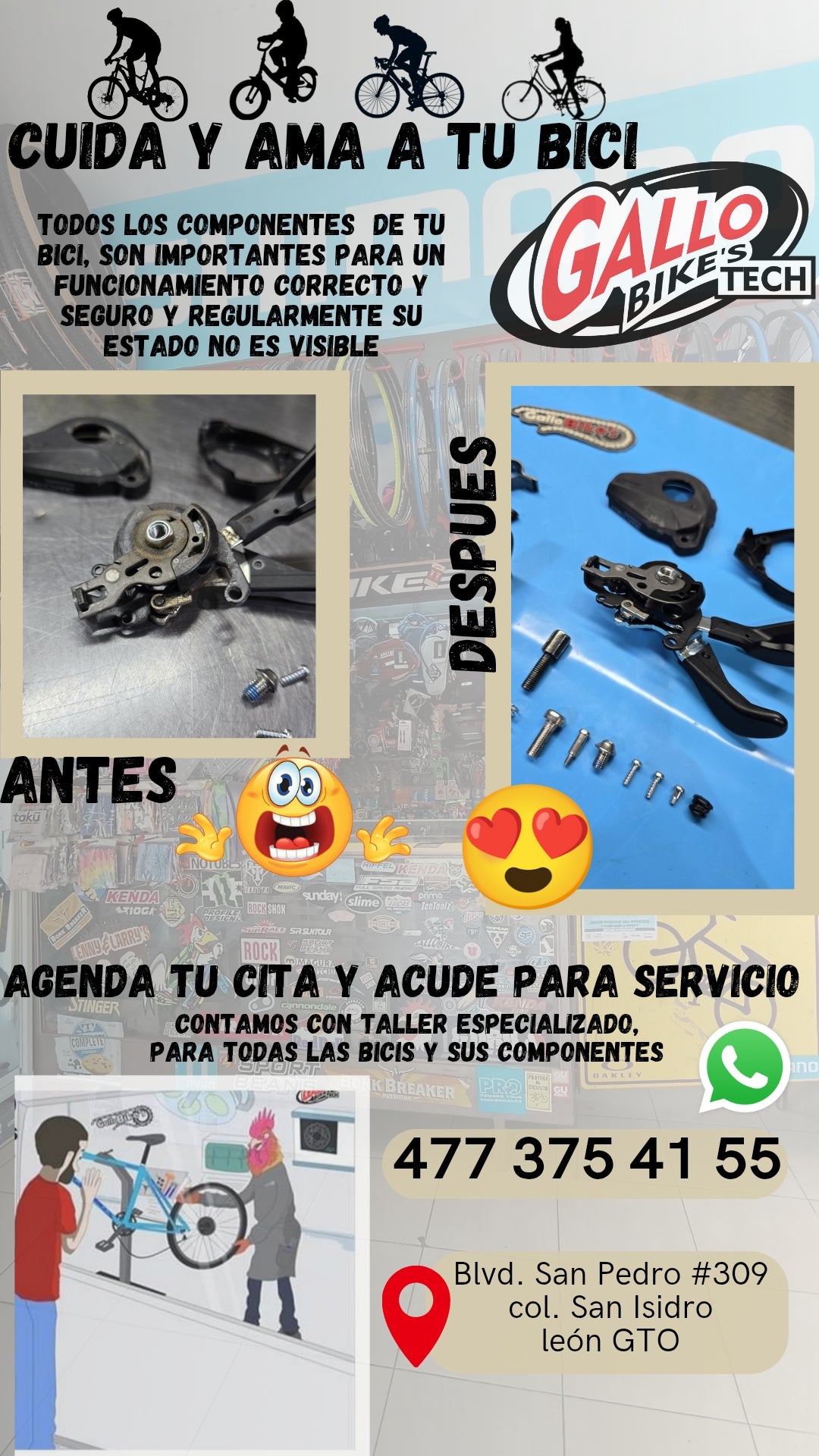 SERVICIO A MANDO / CAMBIO BICI
