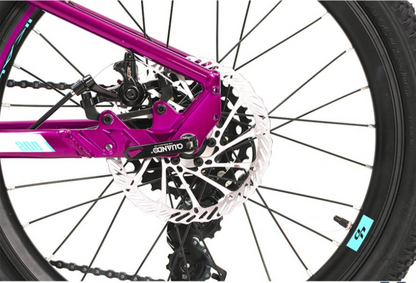 Bicicleta industries 200 SL B1 r20 kids