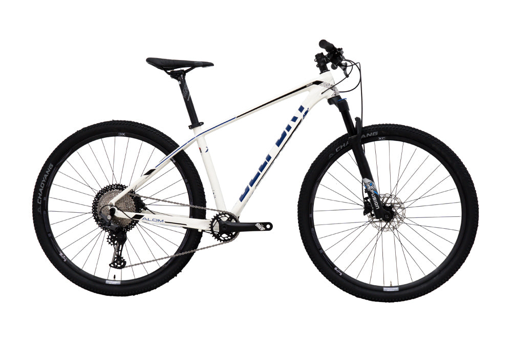 Bicicleta BELFORT ALOM SL B2 r-29
