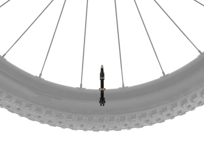 Válvulas tubeless TOPEAK TURBOFLOW