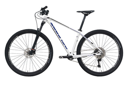 Bici BELFORT ALOM AERIAL R29
