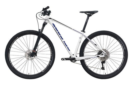 Bici BELFORT ALOM AERIAL R29