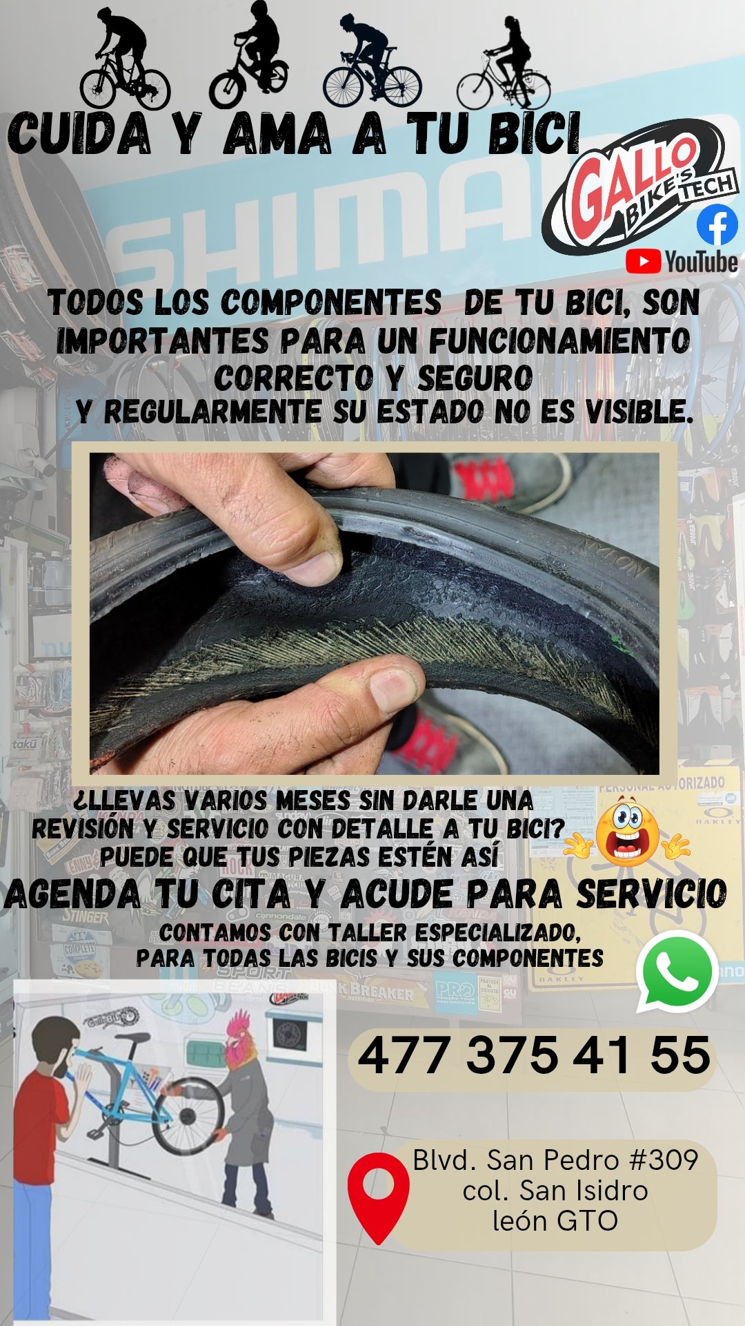 ¿CÓMO CUIDO MI BICI?   DALE MANTENIMIENTO, SERVICIO Y CUIDADO CONAS MANOS EXPERTAS, QUE TODAS LAS BICIS LAS DEJAN 💯 Gallo Bikes's tech