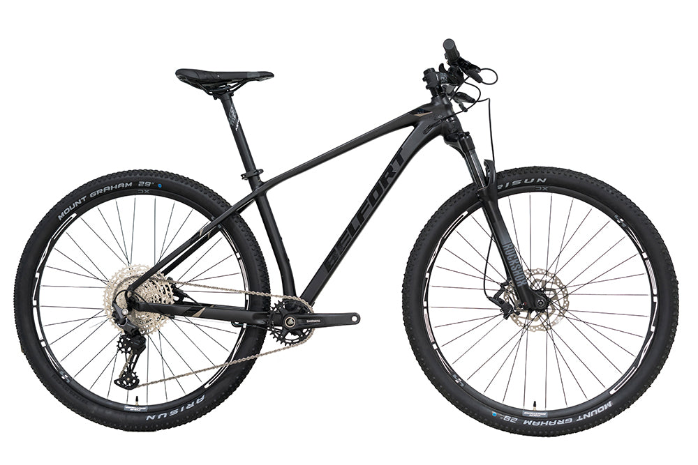 Bicicleta BELFORT ZAMNA comp B1 R29