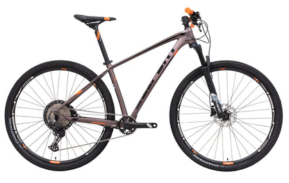 Bicicleta BELFORT ALOM SL B2 r-29