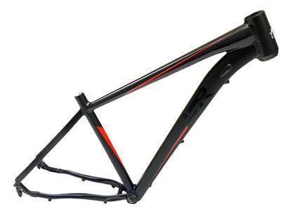 Cuadro R-29 vazher primavera de aluminio