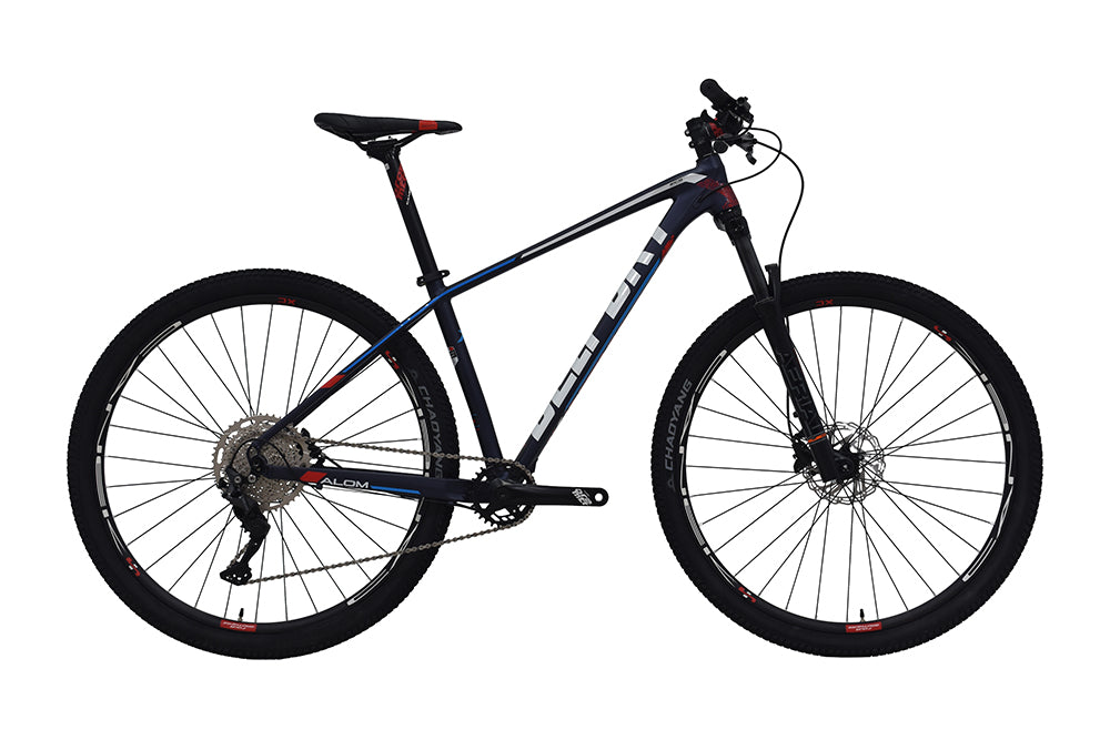 Bici BELFORT ALOM AERIAL R29