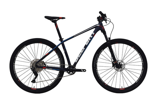 Bici BELFORT ALOM AERIAL R29
