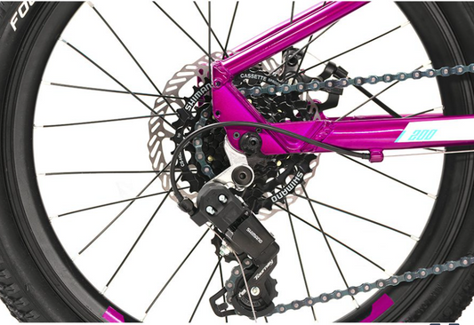 Bicicleta industries 200 SL B1 r20 kids