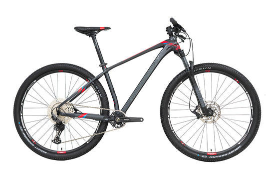 Bicicleta BELFORT ZAMNA comp B1 R29